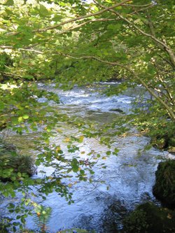 October, the Brathay River, nr. Ambleside,Cumbria.