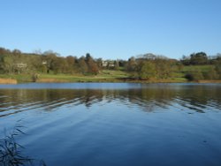 Late Autumn afternoon at Esthwaite Water, Near Sawery, Cumbria. Wallpaper