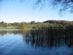 Late Autumn Afternoon at Esthwaite Water, Near Sawery. Cumbria. Wallpaper