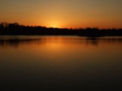Sunset at Groby Pool, Leicestershire Wallpaper
