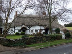 Pestilence Cottage Wallpaper