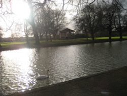Bedford - overlooking river towards Bandstand