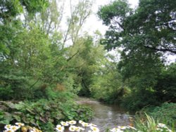 Ashbourne