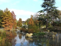 The Dinosaurs Wallpaper