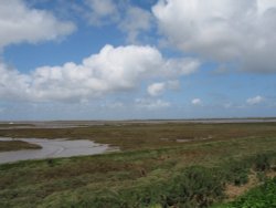 Morston Marsh, Norfolk
