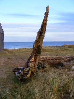 Winterton-on-Sea, Norfolk