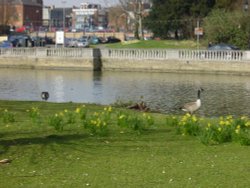 Bedford riverbank