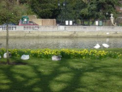 Bedford riverbank