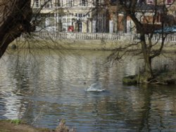 Bedford river