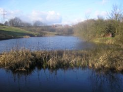 Dingle Lodge Radcliffe / Lttle Lever, Greater Manchester Wallpaper