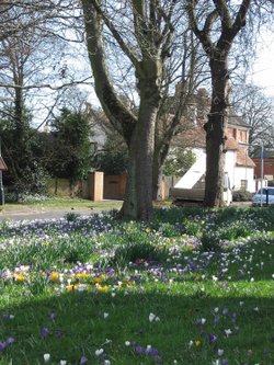 Bilton Village Green, Warwickshire