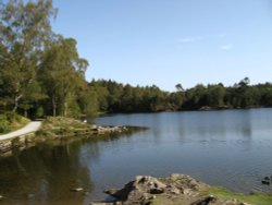 Tarn Hows, Cumbria. September 2007. Wallpaper