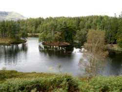Tarn Hows, Cumbria. September 2007. Wallpaper
