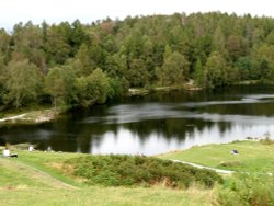 Tarn Hows, Cumbria. September 2007. Wallpaper