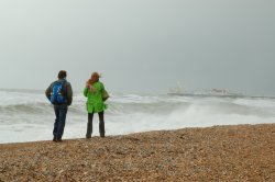 Brighton, East Sussex Wallpaper