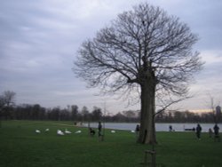 Hyde Park, Kensington, Greater London