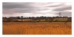 Pylons and reeds