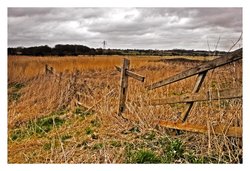 From gates to pylons