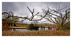 From Flatford Tea Rooms