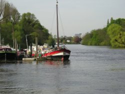 Houseboats on the Thames