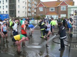 Grizzly run Wallpaper