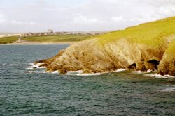Newquay Headland. July. Wallpaper
