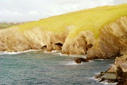 Newquay Headland. July. Wallpaper