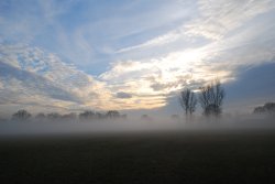 Headcorn Fields, Kent