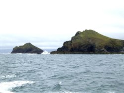 Puffin Island  nr Padstow,Cornwall. Wallpaper