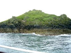 Puffin Island  nr Padstow,Cornwall. Wallpaper
