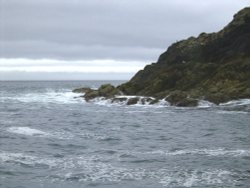 Puffin Island  nr Padstow,Cornwall. Wallpaper