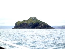 Puffin Island  nr Padstow,Cornwall. Wallpaper