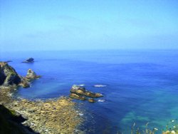 The Cliffs and Coast nr Portreath, Cornwall.