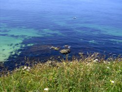 The Cliffs and Coast nr Portreath, Cornwall.