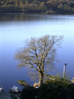 Overlooking southern Windermere.