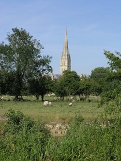 England's green and pleasant land, Salisbury, Wiltshire