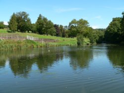 The Wildlife Park at Cricket St Thomas, Chard, Somerset Wallpaper