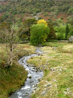 Stream Nr Glenridding.