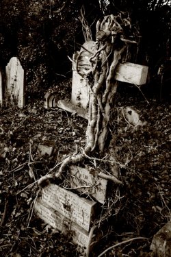 Crematorium at Elmers End, Beckenham, Kent
