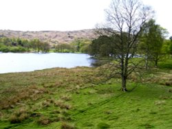 Coniston Water, Cumbria. Wallpaper