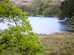 Coniston Water, Cumbria. Wallpaper