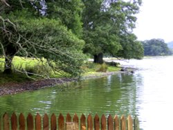 Esthwaite Water, near Hawkshead. Cumbria. Wallpaper