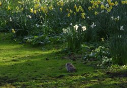 Southwell, Nottinghamshire Wallpaper