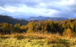 Autumn at Tarn Hows, Cumbria. Wallpaper