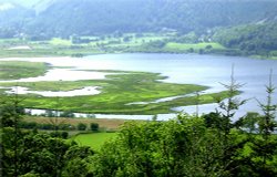 Derwentwater,Keswick, Cumbria. View from Surprise View. Wallpaper