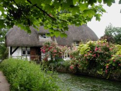 Cottage, Alresford, Hampshire