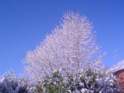 Snow in April, Redditch, Worcestershire