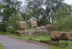 Stone sheep, High Force, Forest-in-Teesdale Wallpaper