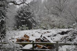 Hawkhurst, Kent