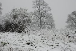Hawkhurst, Kent